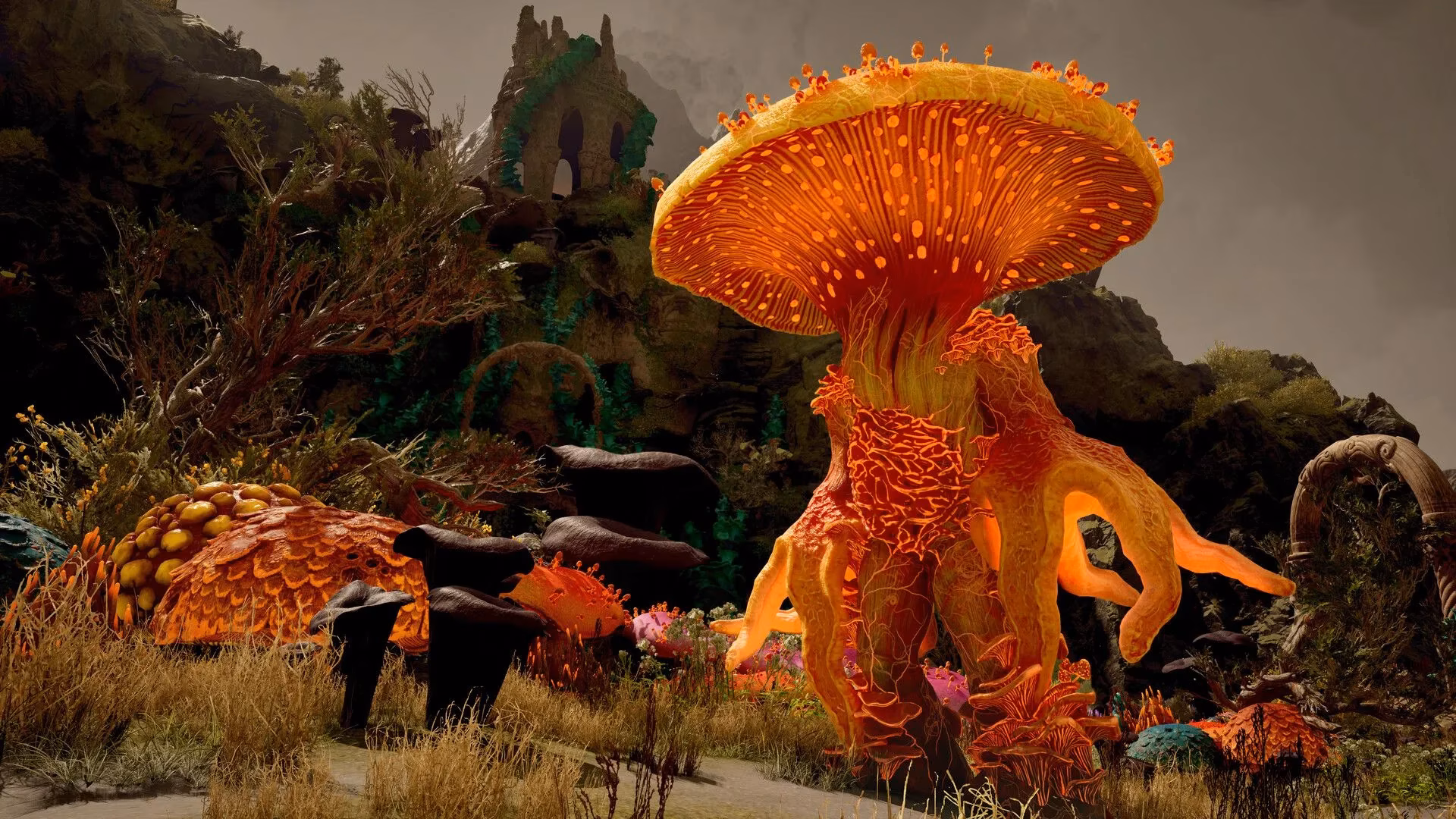 avowed-s-living-lands-a-massive-yet-intimate-rpg-world-that-shatters-expectations-image-4